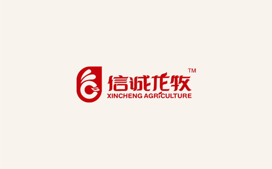 哈尔滨包装制作