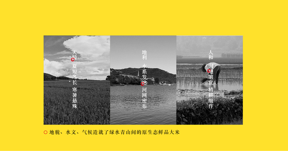 包装印刷